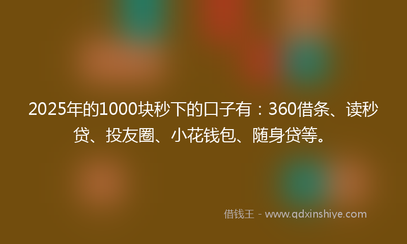 2025年的1000块秒下的口子有：360借条、读秒贷、投友圈、小花钱包、随身贷等。