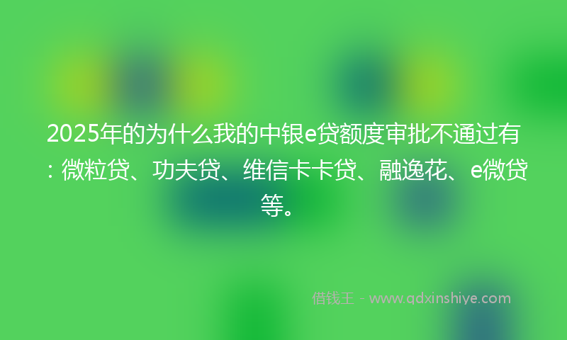 2025年的为什么我的中银e贷额度审批不通过有：微粒贷、功夫贷、维信卡卡贷、融逸花、e微贷等。