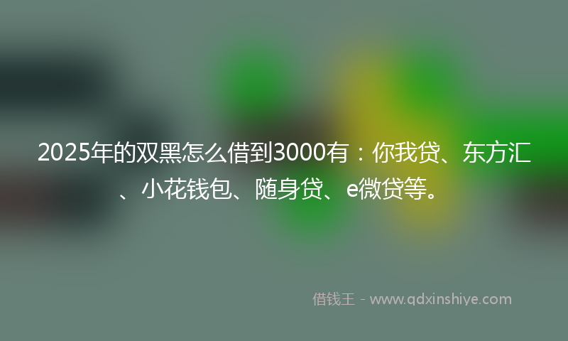 2025年的双黑怎么借到3000有：你我贷、东方汇、小花钱包、随身贷、e微贷等。