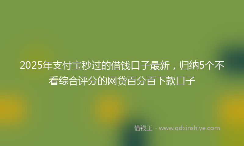 2025年支付宝秒过的借钱口子最新，归纳5个不看综合评分的网贷百分百下款口子