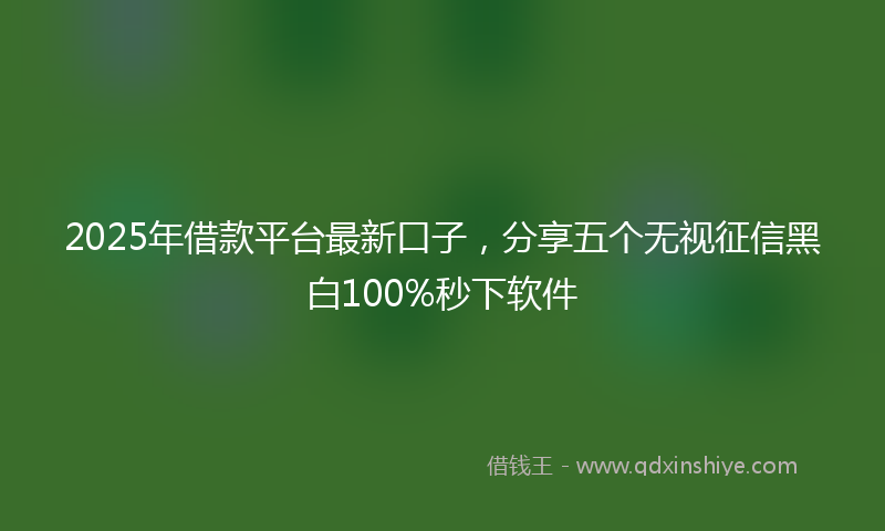 2025年借款平台最新口子，分享五个无视征信黑白100%秒下软件