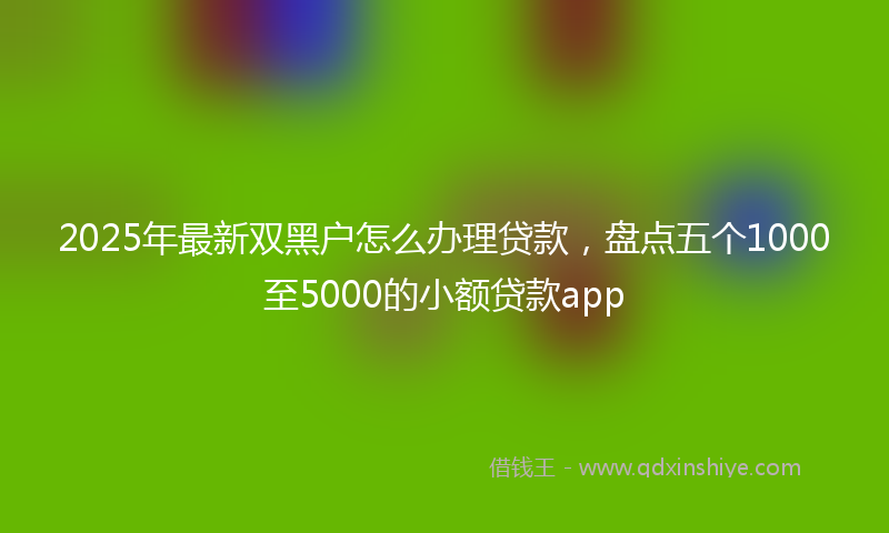 2025年最新双黑户怎么办理贷款，盘点五个1000至5000的小额贷款app
