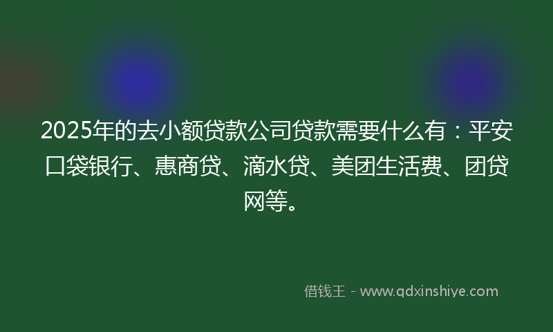 2025年的去小额贷款公司贷款需要什么有：平安口袋银行、惠商贷、滴水贷、美团生活费、团贷网等。