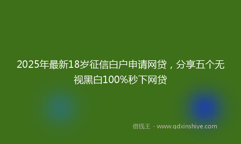 2025年最新18岁征信白户申请网贷，分享五个无视黑白100%秒下网贷