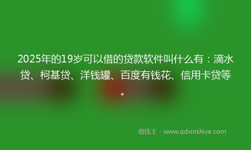 2025年的19岁可以借的贷款软件叫什么有：滴水贷、柯基贷、洋钱罐、百度有钱花、信用卡贷等。