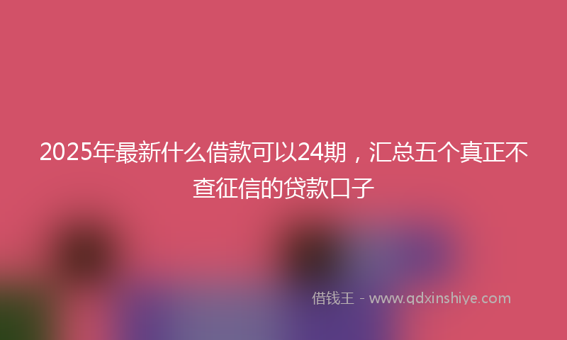 2025年最新什么借款可以24期，汇总五个真正不查征信的贷款口子
