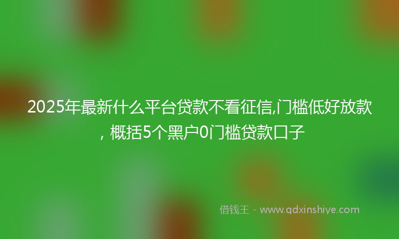 2025年最新什么平台贷款不看征信,门槛低好放款，概括5个黑户0门槛贷款口子