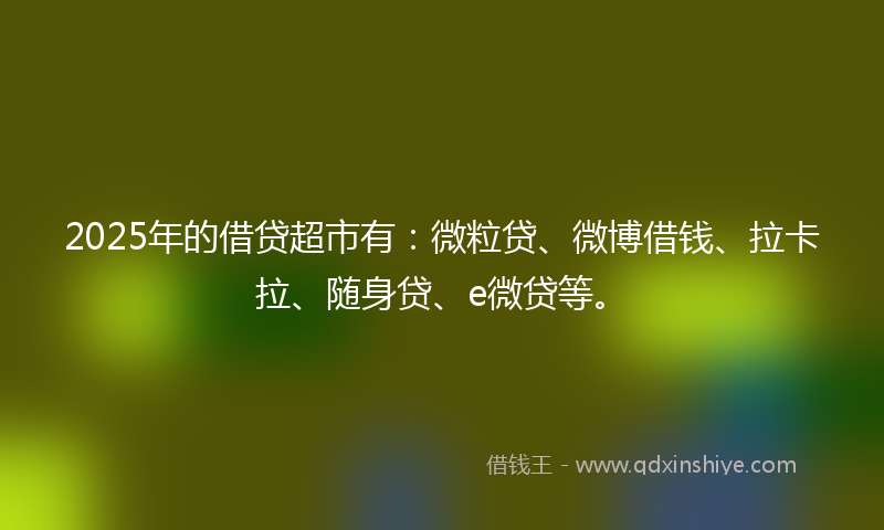 2025年的借贷超市有：微粒贷、微博借钱、拉卡拉、随身贷、e微贷等。