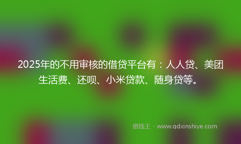 2025年的不用审核的借贷平台有：人人贷、美团生活费、还呗、小米贷款、随身贷等。