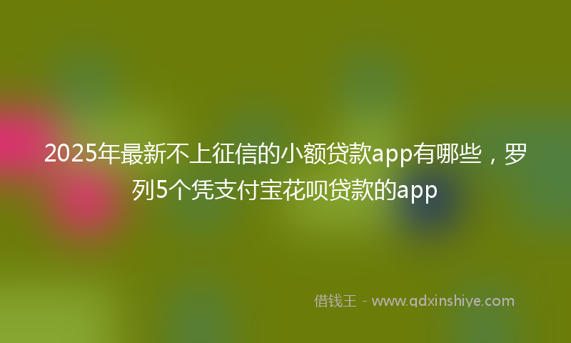 2025年最新不上征信的小额贷款app有哪些，罗列5个凭支付宝花呗贷款的app