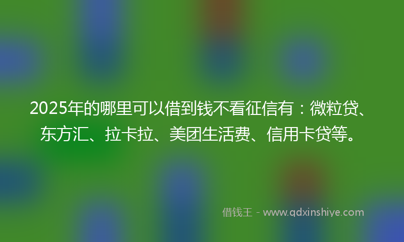 2025年的哪里可以借到钱不看征信有：微粒贷、东方汇、拉卡拉、美团生活费、信用卡贷等。