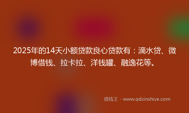2025年的14天小额贷款良心贷款有：滴水贷、微博借钱、拉卡拉、洋钱罐、融逸花等。