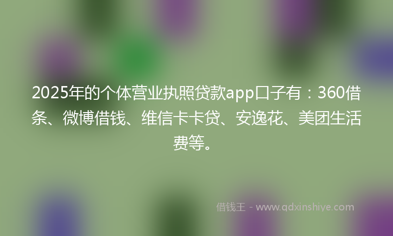 2025年的个体营业执照贷款app口子有：360借条、微博借钱、维信卡卡贷、安逸花、美团生活费等。