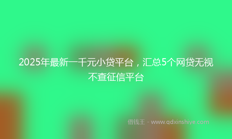 2025年最新一千元小贷平台，汇总5个网贷无视不查征信平台