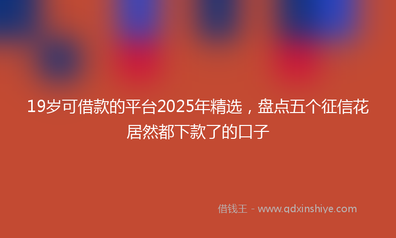 19岁可借款的平台2025年精选，盘点五个征信花居然都下款了的口子
