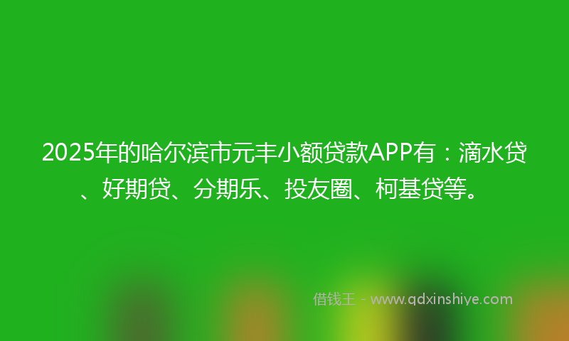 2025年的哈尔滨市元丰小额贷款APP有：滴水贷、好期贷、分期乐、投友圈、柯基贷等。