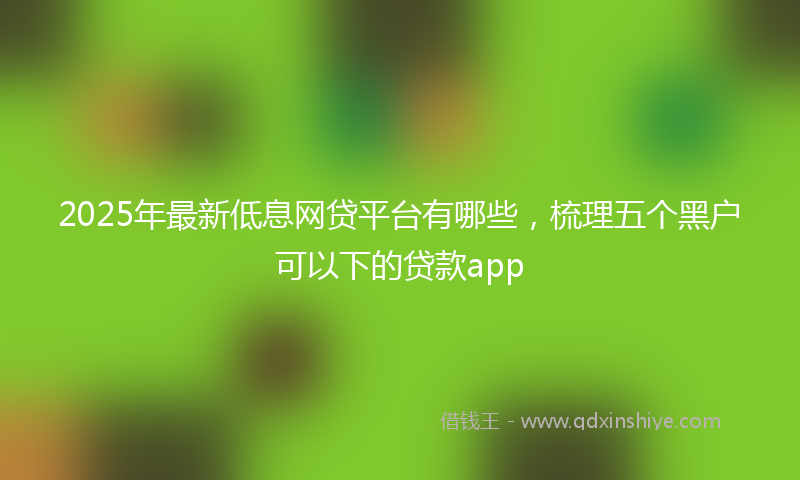 2025年最新低息网贷平台有哪些，梳理五个黑户可以下的贷款app