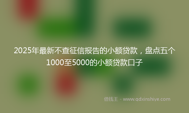 2025年最新不查征信报告的小额贷款，盘点五个1000至5000的小额贷款口子