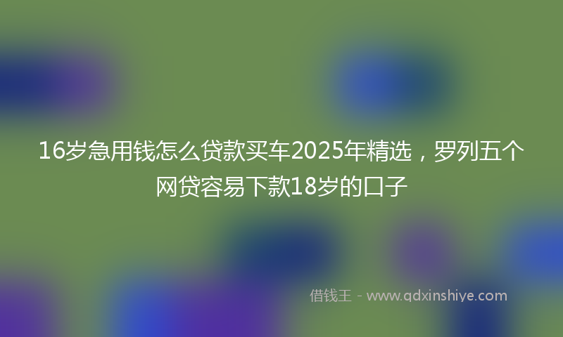 16岁急用钱怎么贷款买车2025年精选，罗列五个网贷容易下款18岁的口子