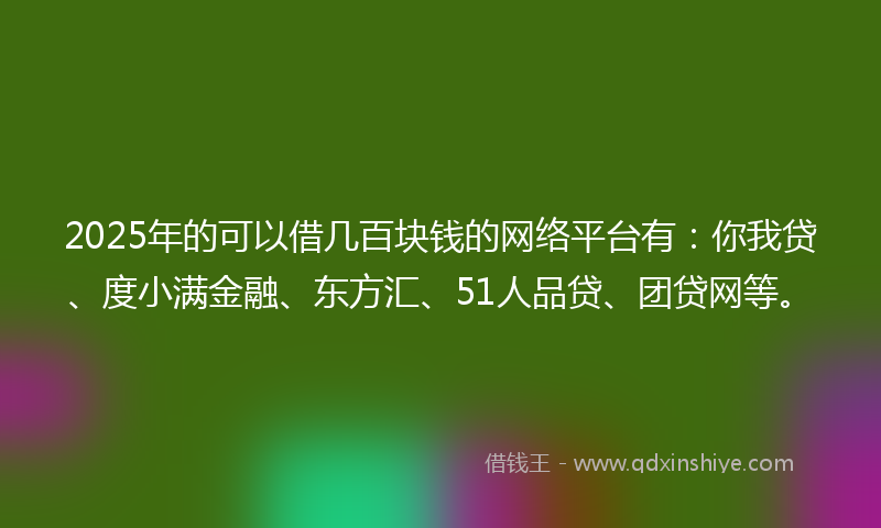 2025年的可以借几百块钱的网络平台有：你我贷、度小满金融、东方汇、51人品贷、团贷网等。