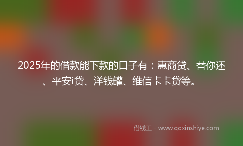 2025年的借款能下款的口子有：惠商贷、替你还、平安i贷、洋钱罐、维信卡卡贷等。
