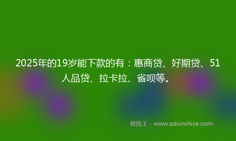 2025年的19岁能下款的有：惠商贷、好期贷、51人品贷、拉卡拉、省呗等。