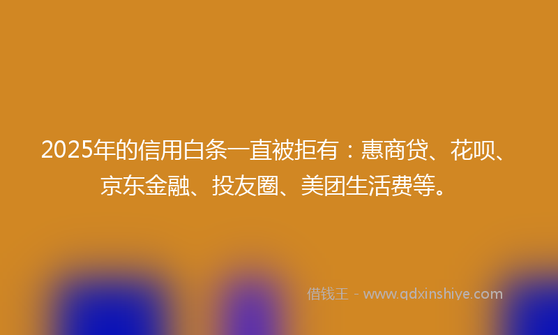 2025年的信用白条一直被拒有：惠商贷、花呗、京东金融、投友圈、美团生活费等。