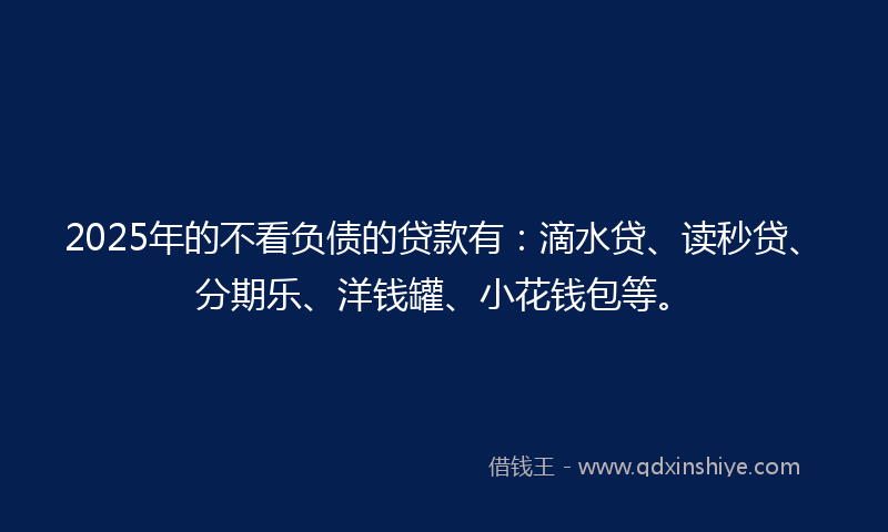 2025年的不看负债的贷款有：滴水贷、读秒贷、分期乐、洋钱罐、小花钱包等。