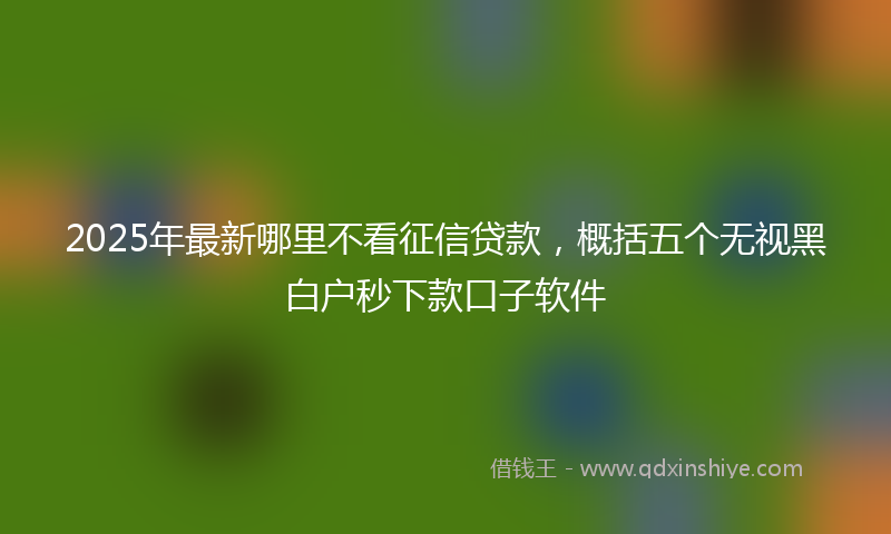 2025年最新哪里不看征信贷款，概括五个无视黑白户秒下款口子软件