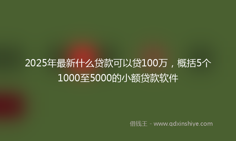 2025年最新什么贷款可以贷100万，概括5个1000至5000的小额贷款软件