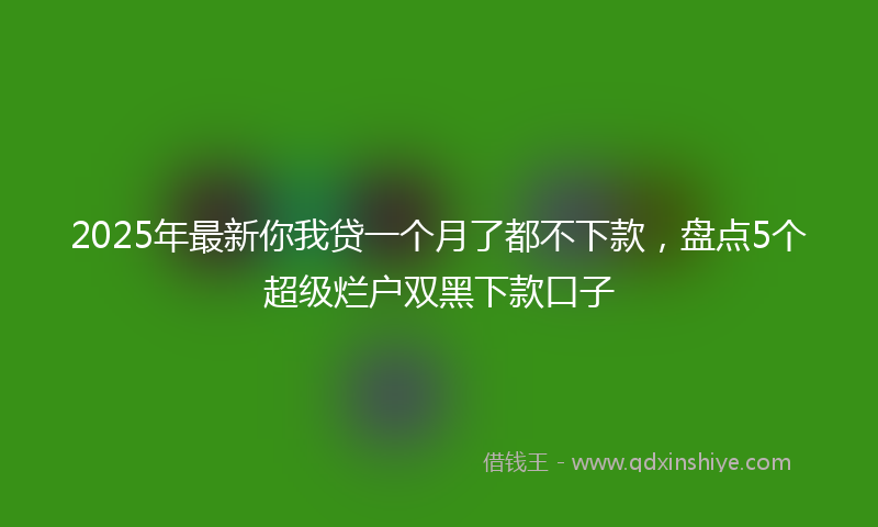 2025年最新你我贷一个月了都不下款，盘点5个超级烂户双黑下款口子