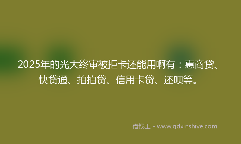2025年的光大终审被拒卡还能用啊有：惠商贷、快贷通、拍拍贷、信用卡贷、还呗等。