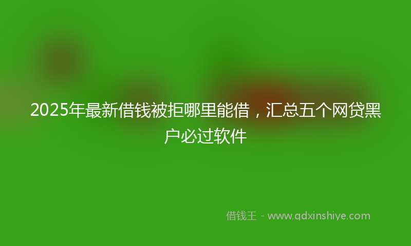 2025年最新借钱被拒哪里能借，汇总五个网贷黑户必过软件