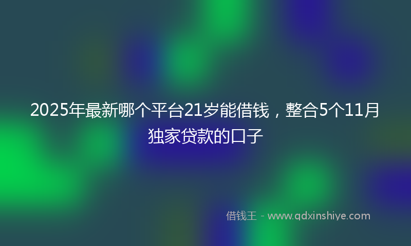 2025年最新哪个平台21岁能借钱，整合5个11月独家贷款的口子