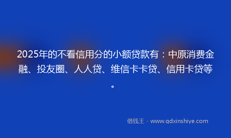 2025年的不看信用分的小额贷款有：中原消费金融、投友圈、人人贷、维信卡卡贷、信用卡贷等。
