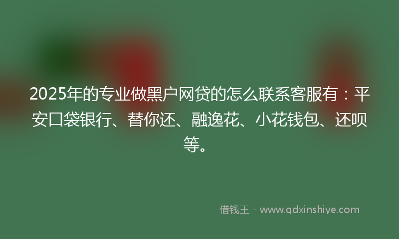 2025年的专业做黑户网贷的怎么联系客服有：平安口袋银行、替你还、融逸花、小花钱包、还呗等。