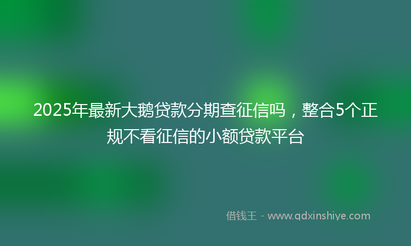 2025年最新大鹅贷款分期查征信吗，整合5个正规不看征信的小额贷款平台