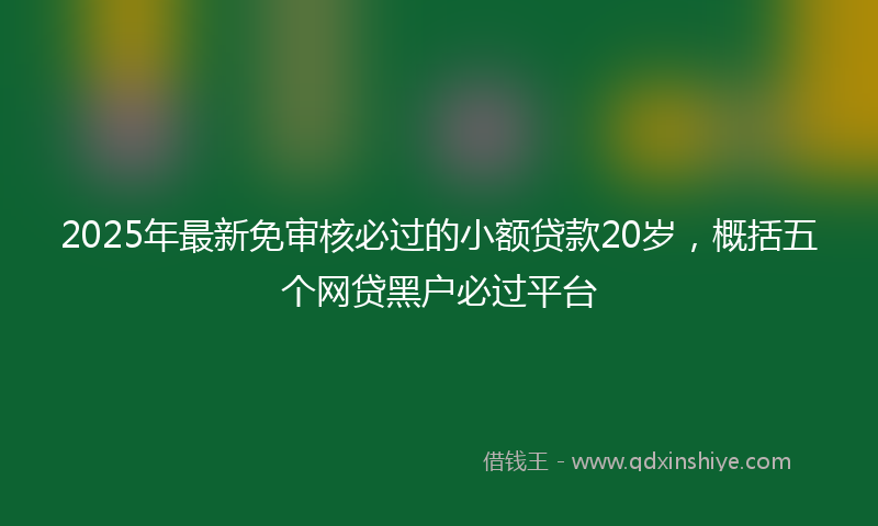 2025年最新免审核必过的小额贷款20岁，概括五个网贷黑户必过平台