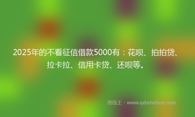 2025年的不看征信借款5000有：花呗、拍拍贷、拉卡拉、信用卡贷、还呗等。