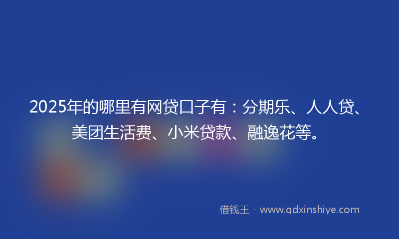 2025年的哪里有网贷口子有：分期乐、人人贷、美团生活费、小米贷款、融逸花等。