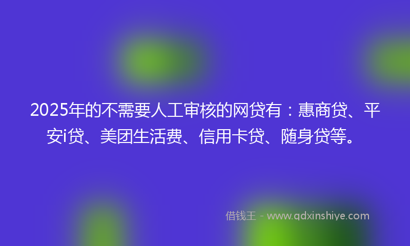 2025年的不需要人工审核的网贷有：惠商贷、平安i贷、美团生活费、信用卡贷、随身贷等。