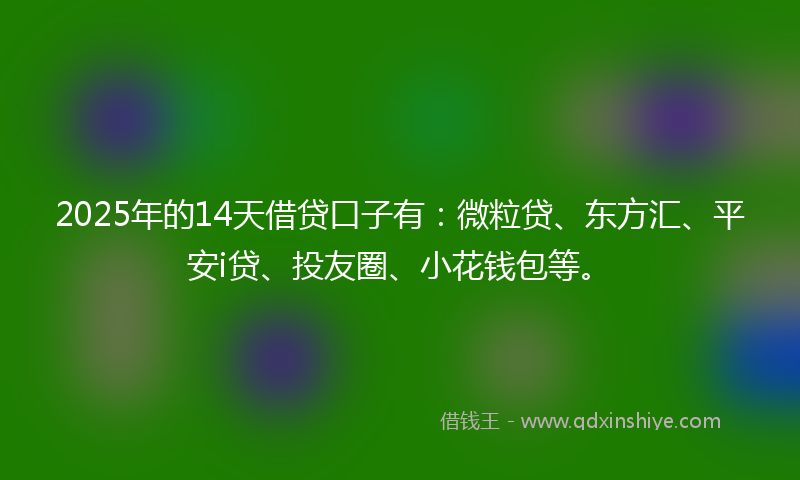 2025年的14天借贷口子有：微粒贷、东方汇、平安i贷、投友圈、小花钱包等。