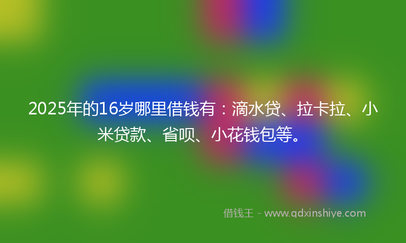 2025年的16岁哪里借钱有：滴水贷、拉卡拉、小米贷款、省呗、小花钱包等。