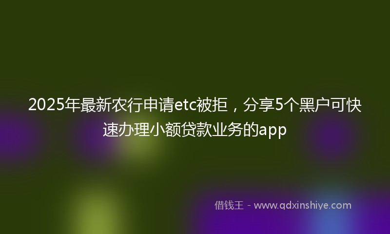 2025年最新农行申请etc被拒，分享5个黑户可快速办理小额贷款业务的app