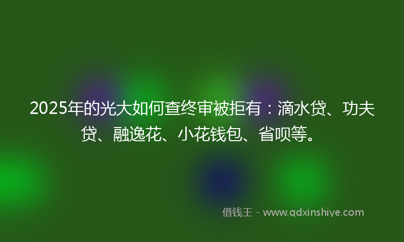 2025年的光大如何查终审被拒有：滴水贷、功夫贷、融逸花、小花钱包、省呗等。