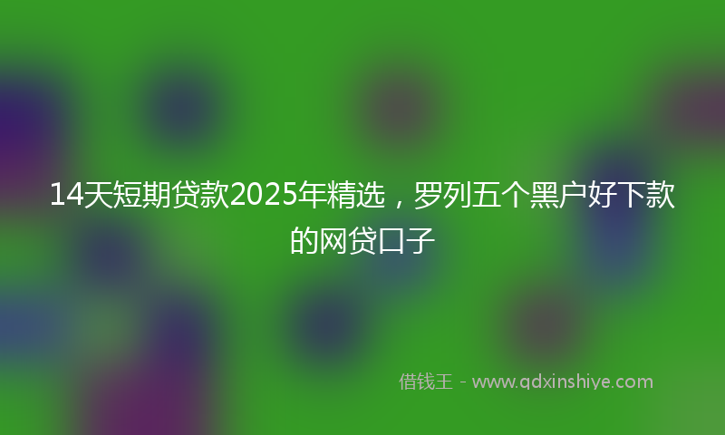 14天短期贷款2025年精选，罗列五个黑户好下款的网贷口子