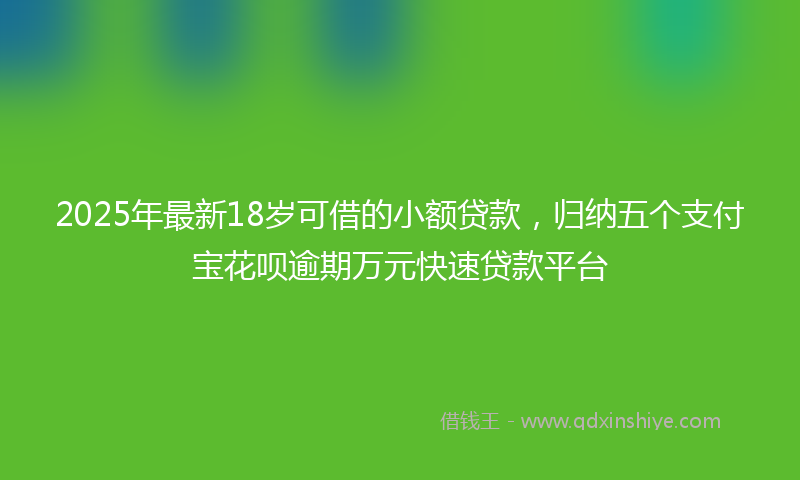 2025年最新18岁可借的小额贷款，归纳五个支付宝花呗逾期万元快速贷款平台