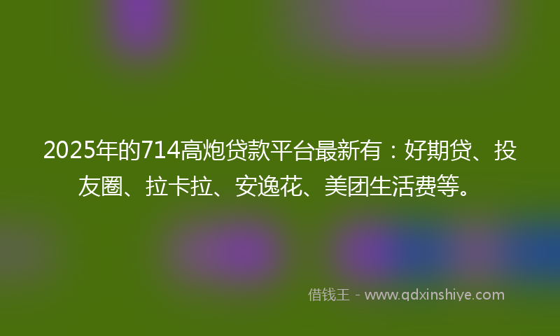 2025年的714高炮贷款平台最新有：好期贷、投友圈、拉卡拉、安逸花、美团生活费等。