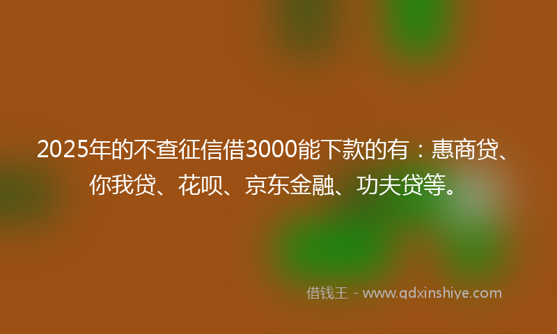 2025年的不查征信借3000能下款的有：惠商贷、你我贷、花呗、京东金融、功夫贷等。