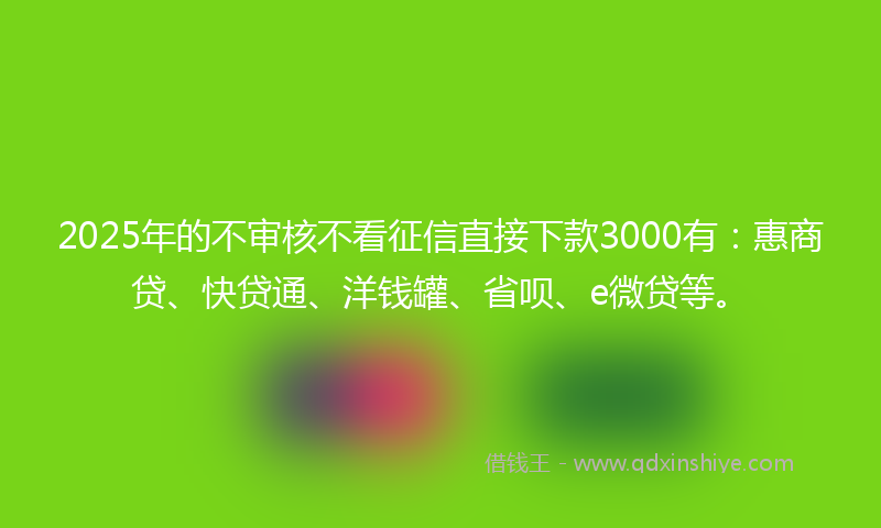 2025年的不审核不看征信直接下款3000有：惠商贷、快贷通、洋钱罐、省呗、e微贷等。